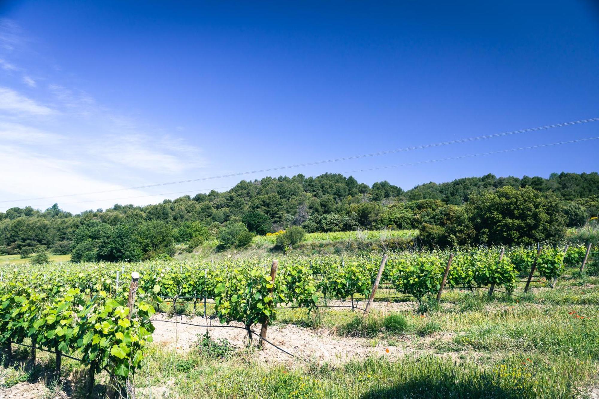 Ferienwohnung Domaine Des Peyre Robion en Luberon Exterior foto